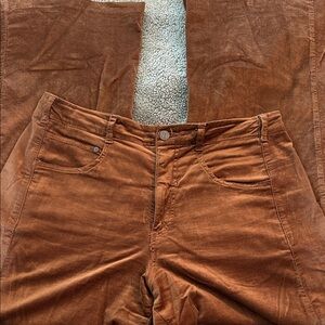 Pilcro Women's Pants in Rich Golden Brown